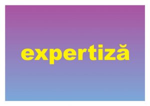Cuvântul „expertiză” este înregistrat în dicționarele românești